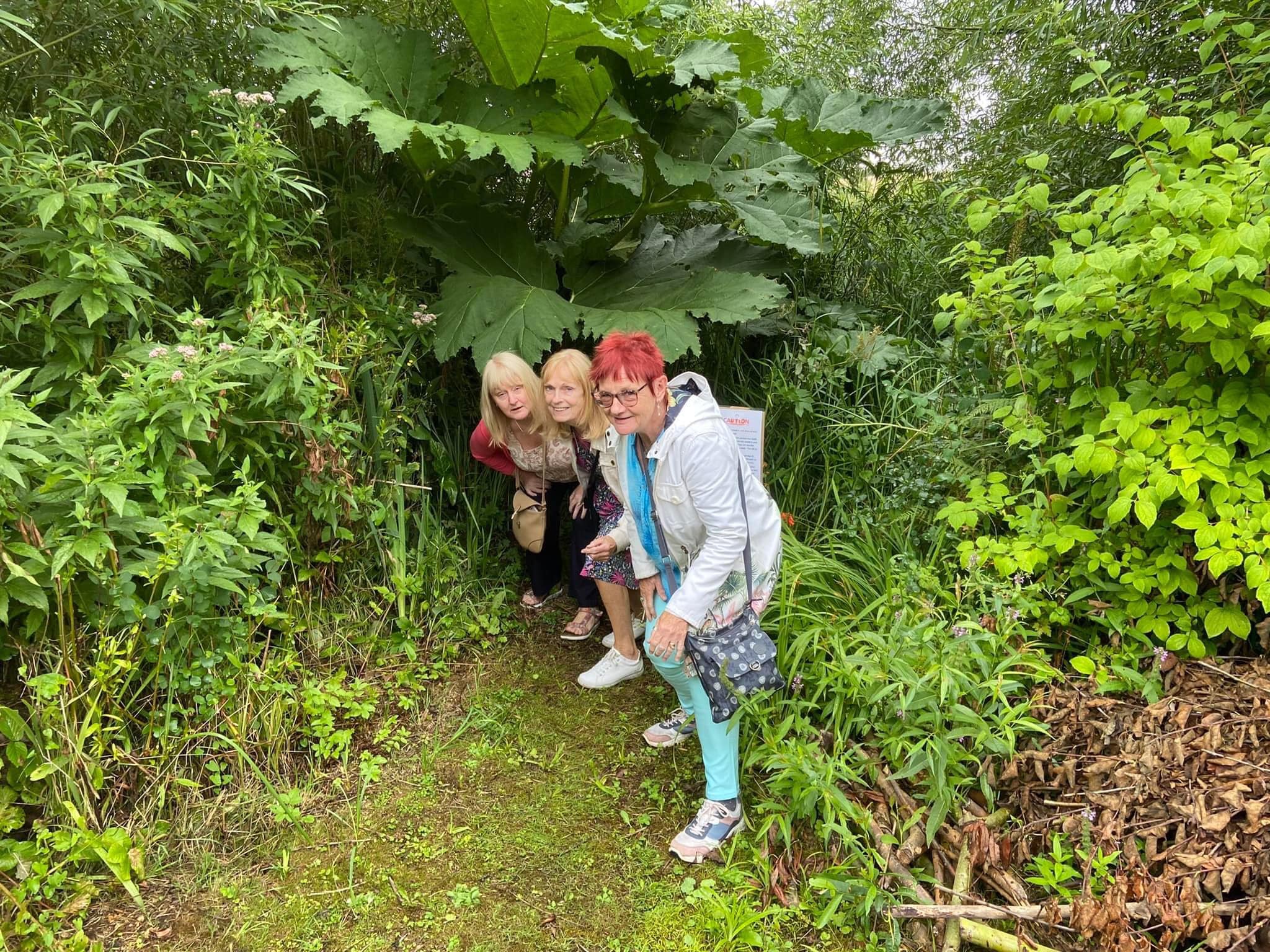 Intrepid explorers in a NGS garden in Barbridge