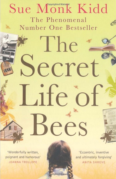 Big Read Secret Life of Bees book cover