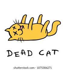 Dead cat
