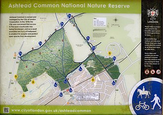 map, common, walk