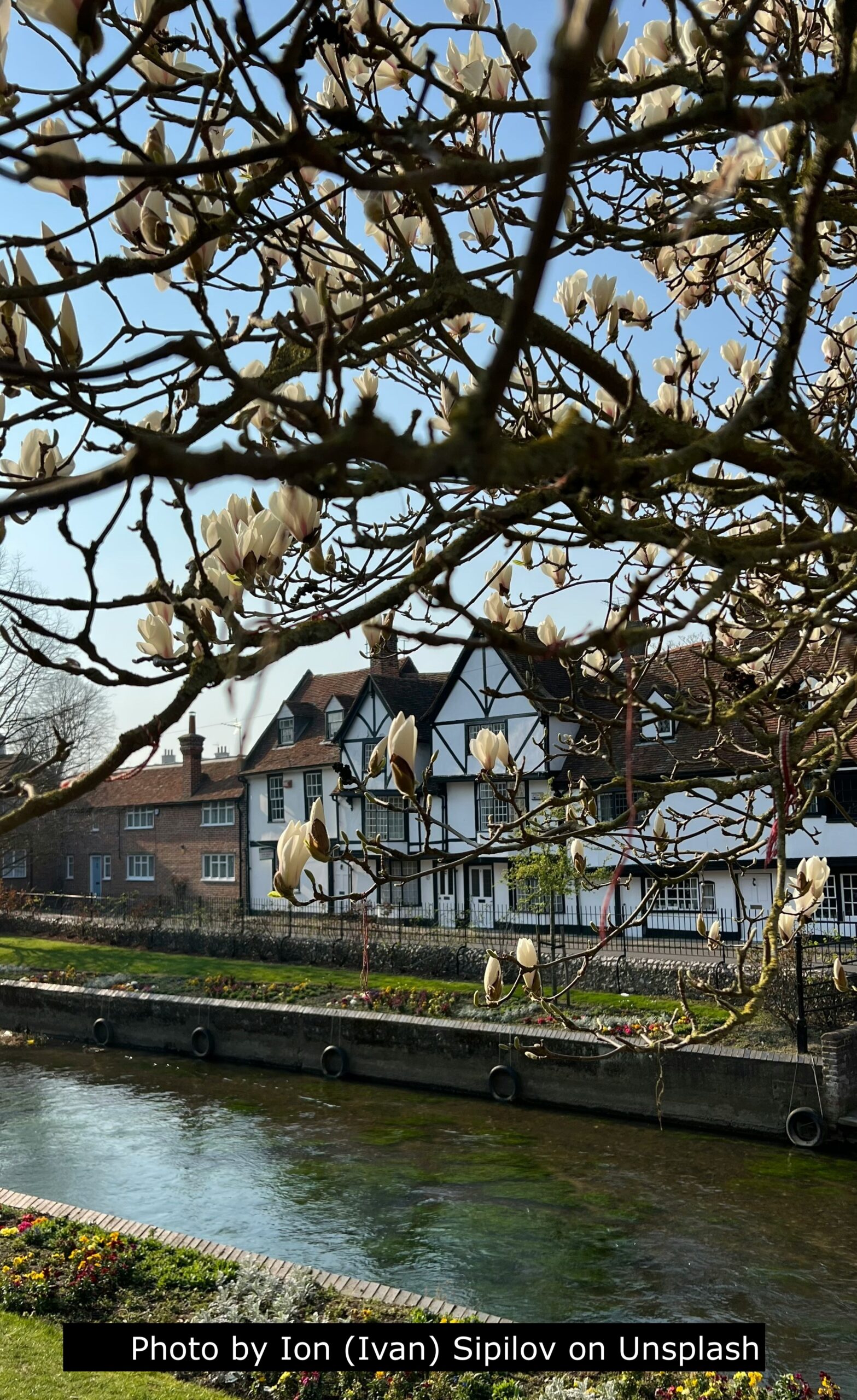View of ancient houses across the river